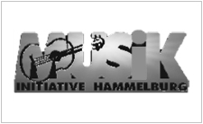Musikinitiative Hammelburg